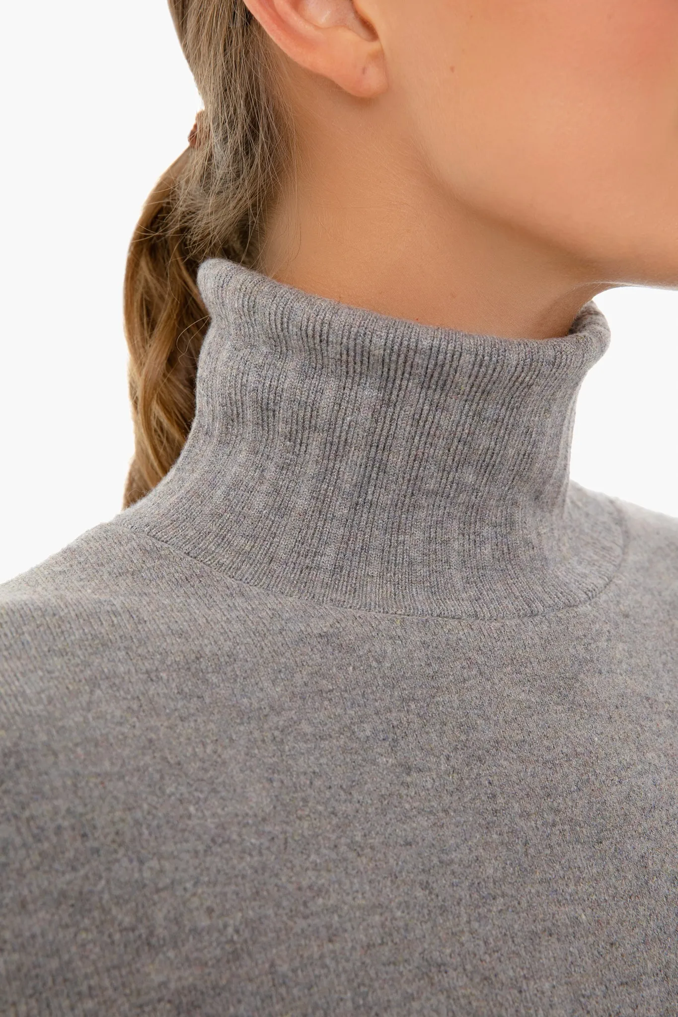 Harbor Gray Vivianne Turtleneck Dress