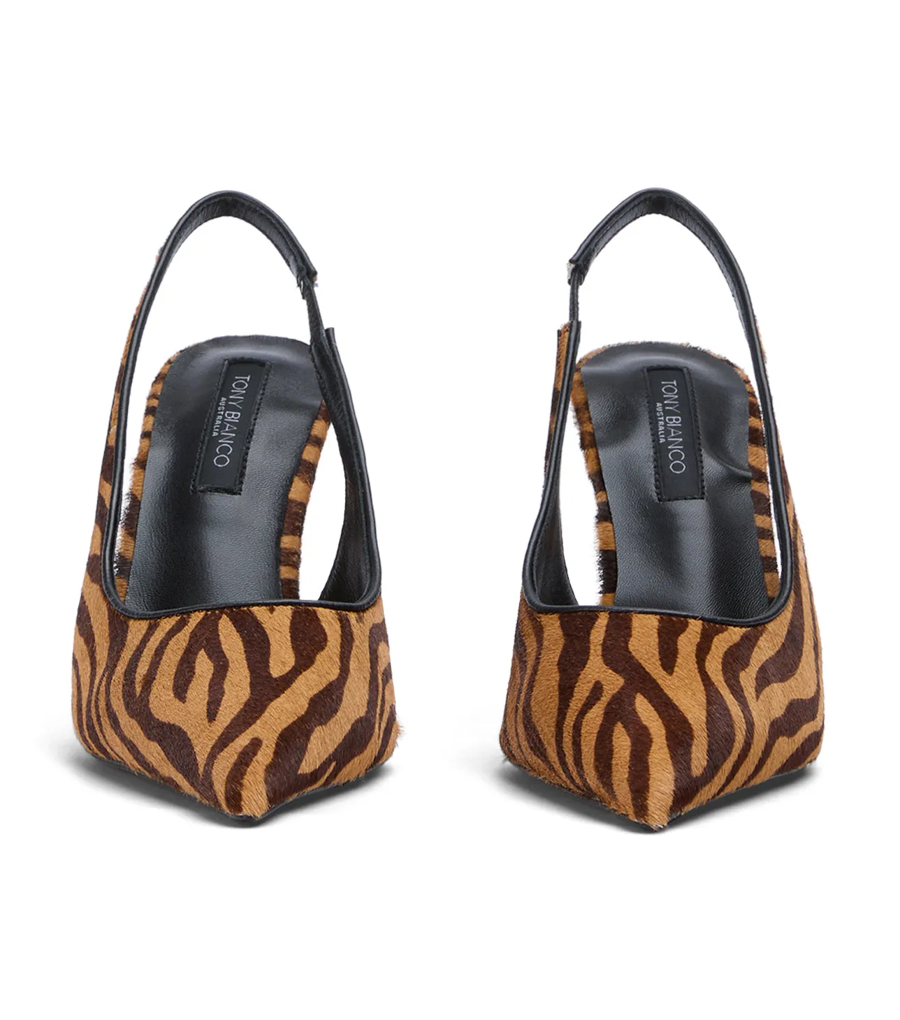 Ivy Brown Zebra