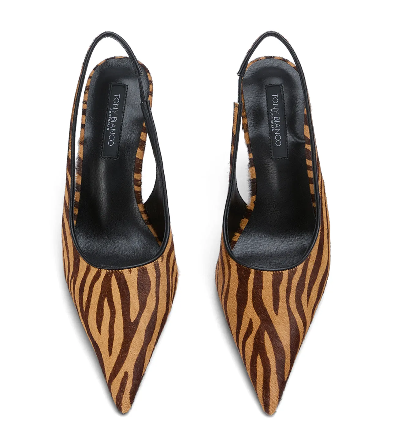 Ivy Brown Zebra