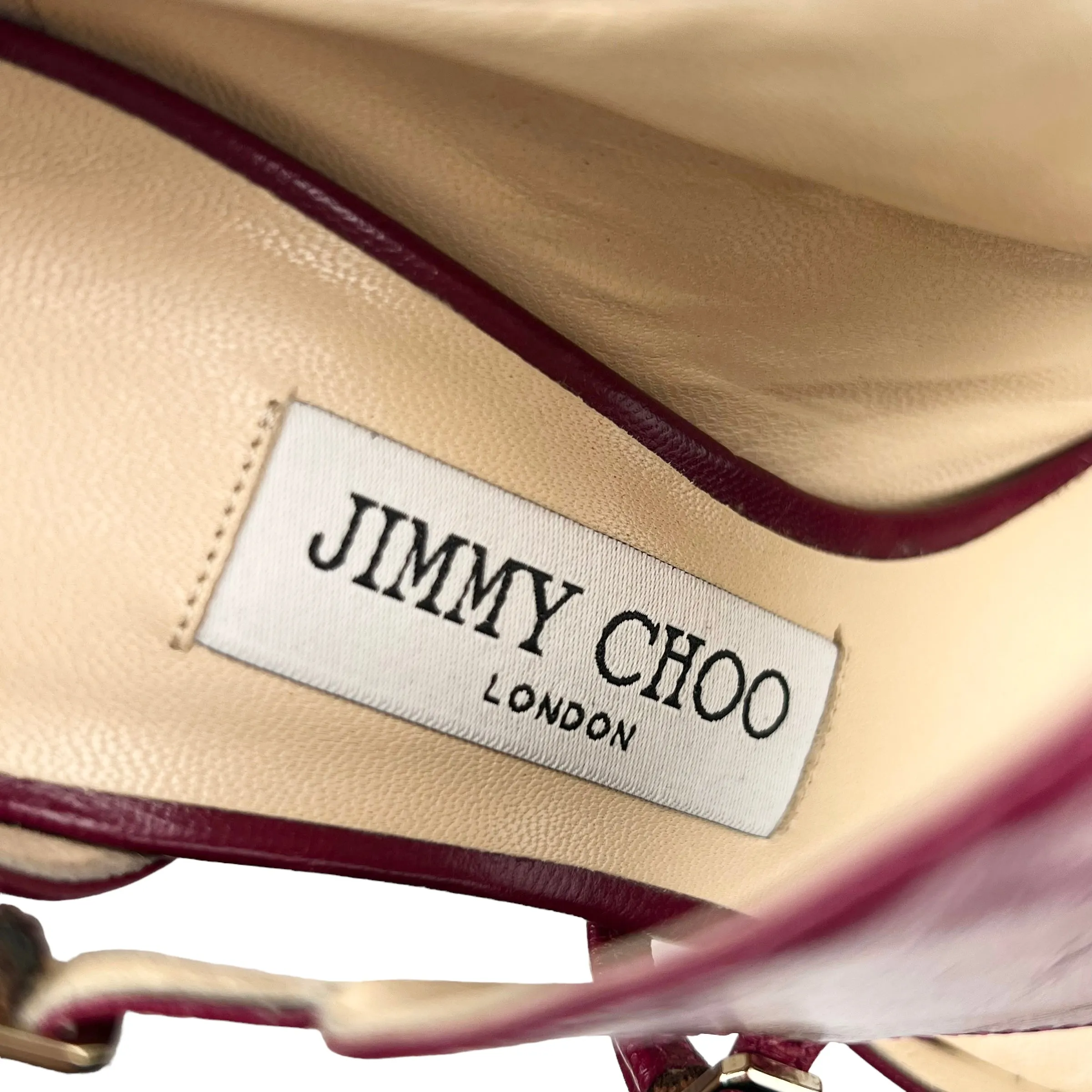 Jimmy Choo Dark Orchid 'Heath' Monk Strap Goat Leather Pumps
